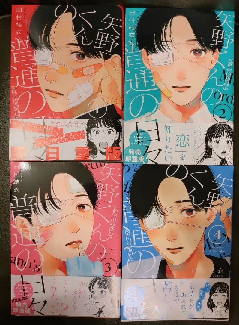 矢野くんの普通の日々1〜12