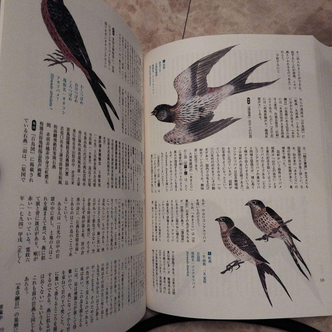 江戸鳥類大図鑑 : よみがえる江戸鳥学の精華『観文禽譜』
