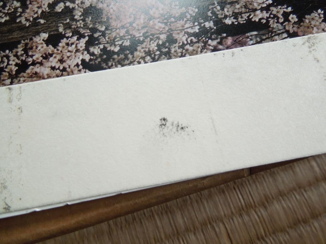 女人高野室生寺 　土門拳