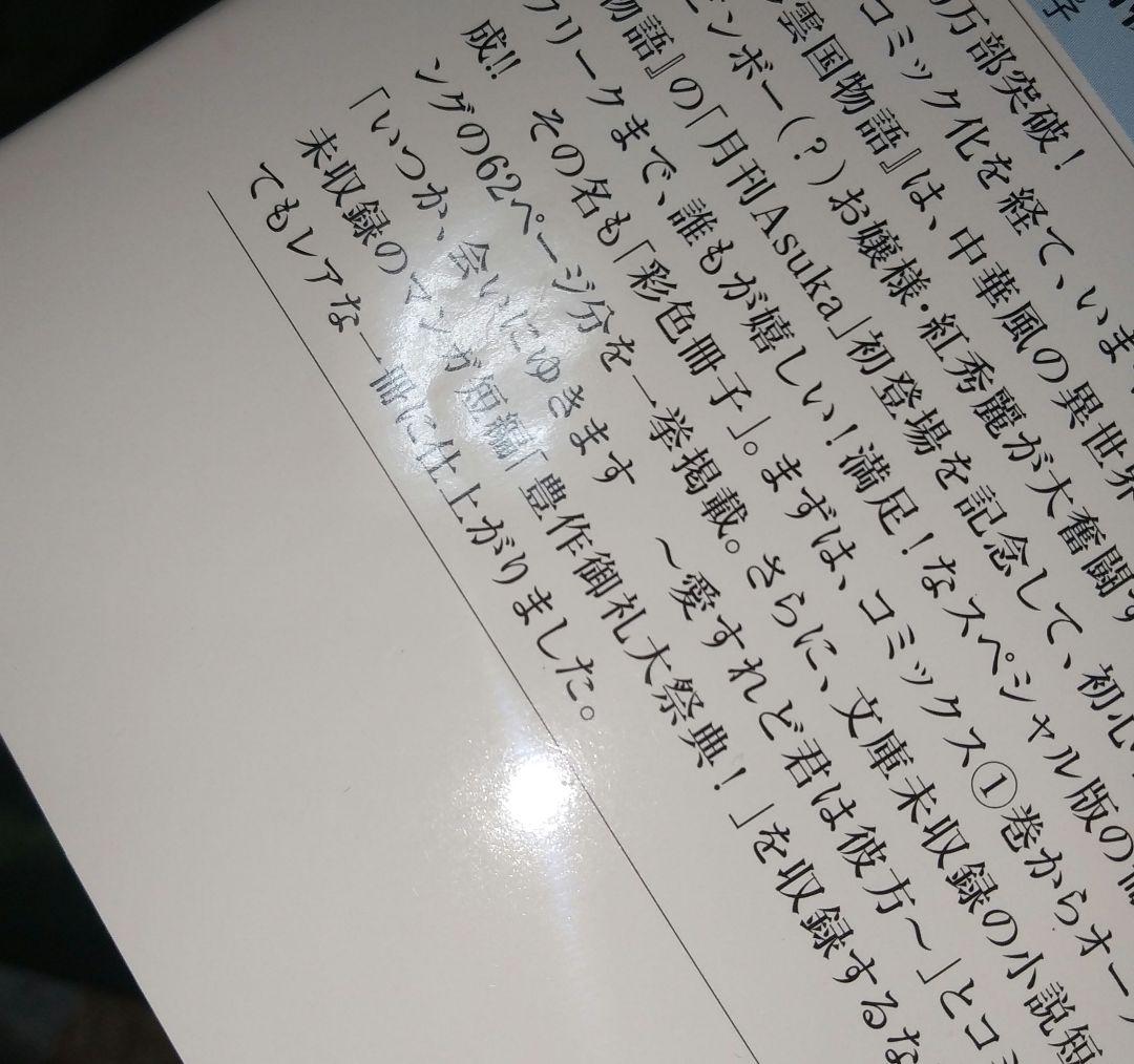 「彩雲国物語 Curtain Call」「彩雲国物語 彩色冊子」小冊子 セット