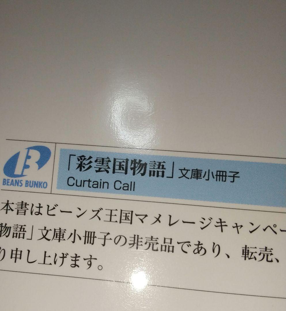 「彩雲国物語 Curtain Call」「彩雲国物語 彩色冊子」小冊子 セット