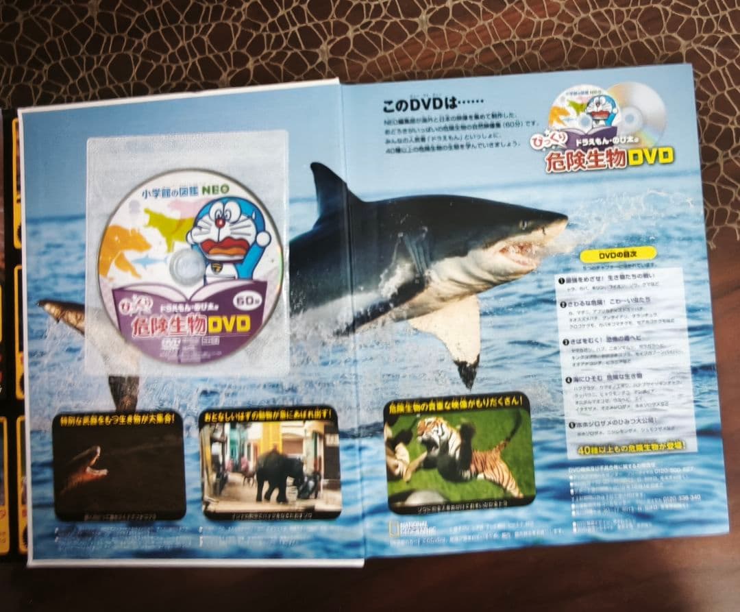 小学館の図鑑NEO 6冊セット DVD付き