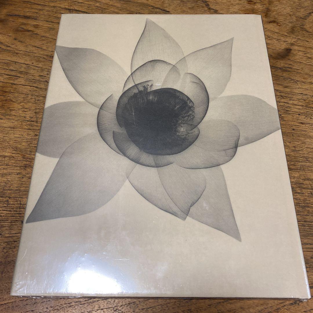 アート・デザイン・音楽 Dr. Dain L. Tasker