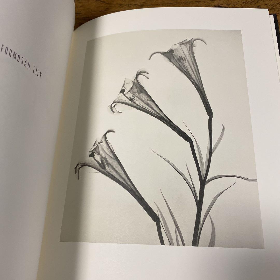 アート・デザイン・音楽 Dr. Dain L. Tasker