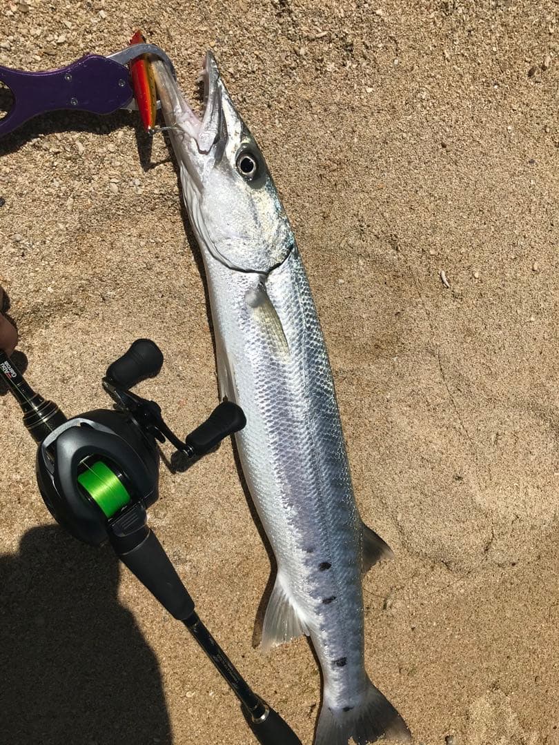 【ベイトフィネスロッド】アブガルシアXROSSFILD-クロスフィールド-