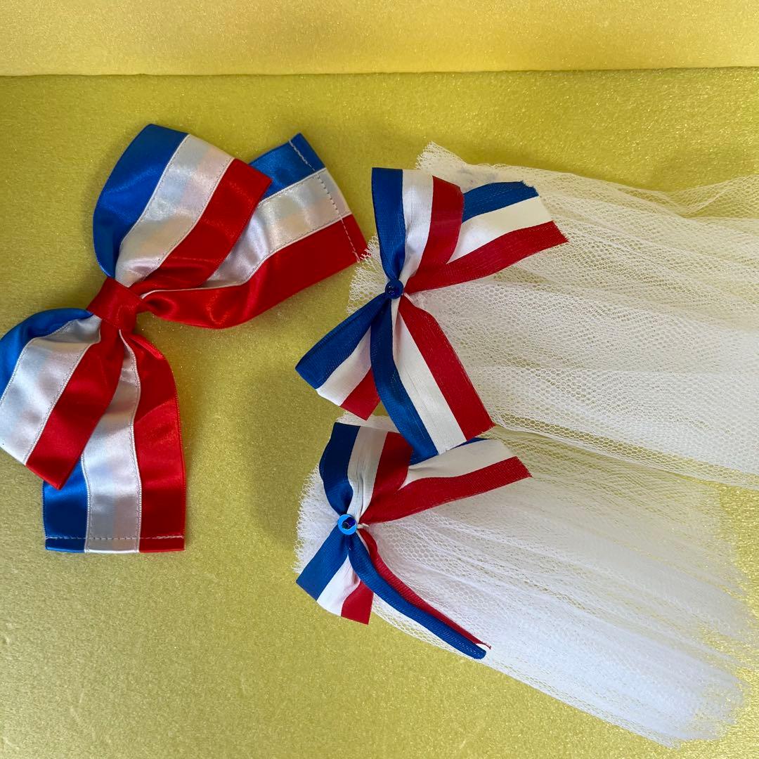 ☆☆バレエパリの炎衣装(頭飾り・袖付き)