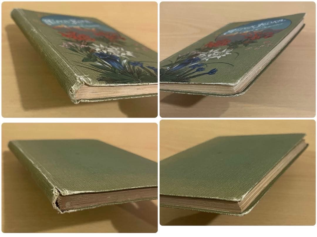 No.351 ドイツ アンティーク 洋書 ボタニカルアート 植物図鑑