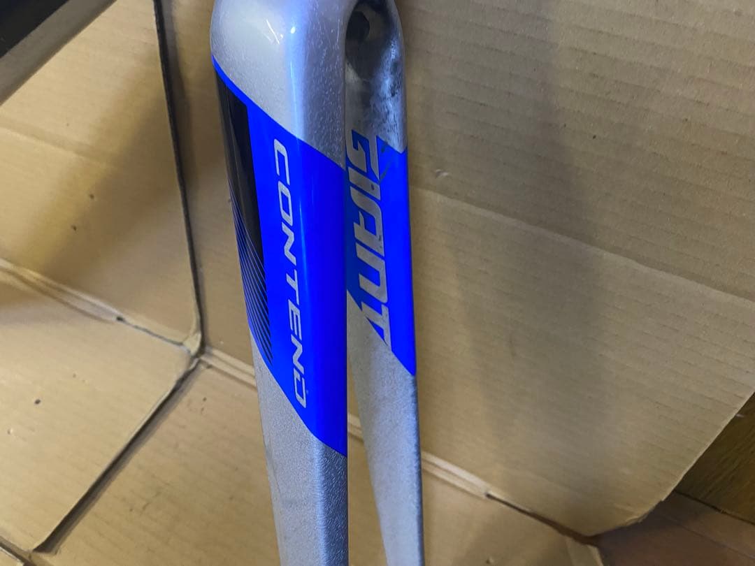 ジャイアント　コンデント　Sサイズ