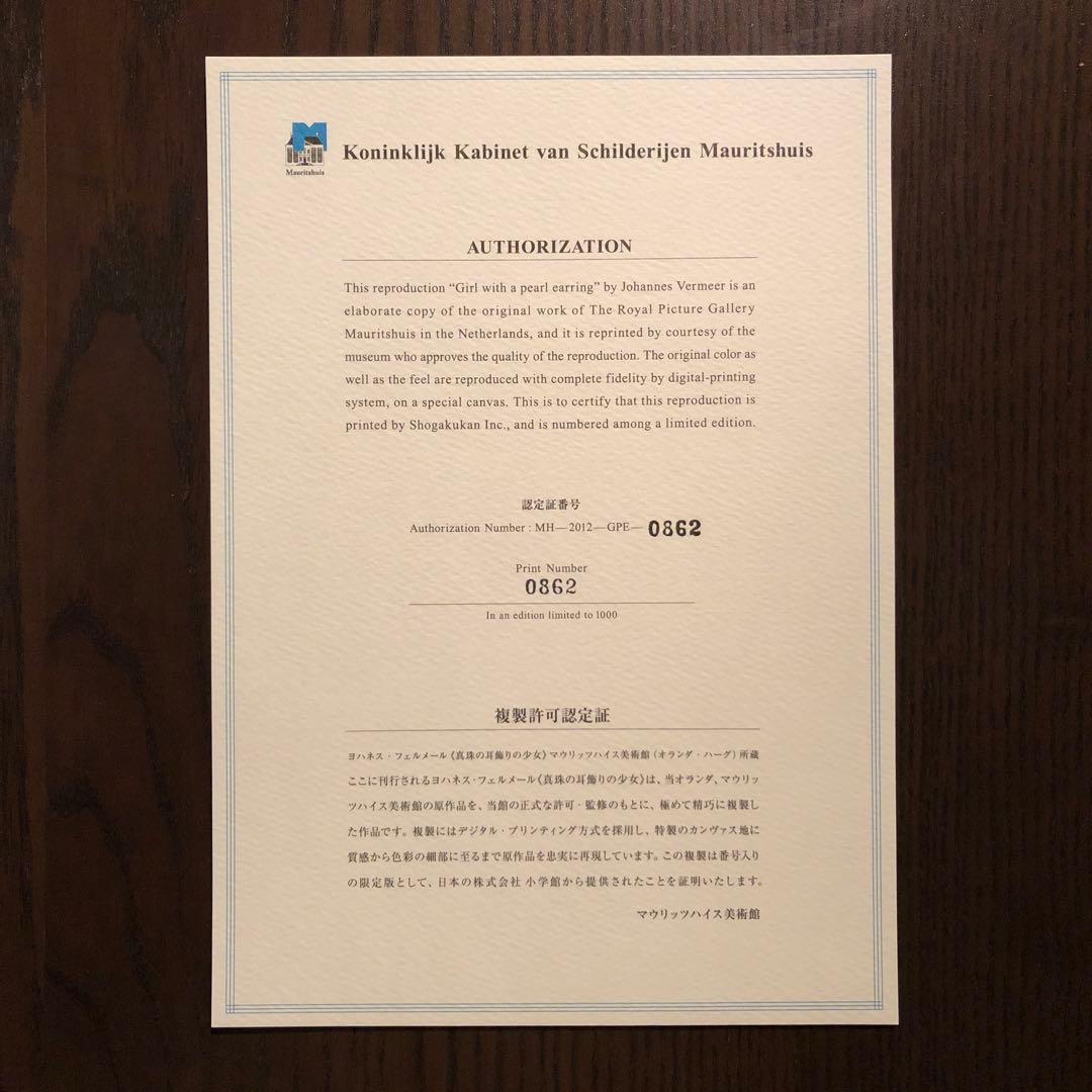 ＜最終値引価格＞限定版フェルメール全作品集