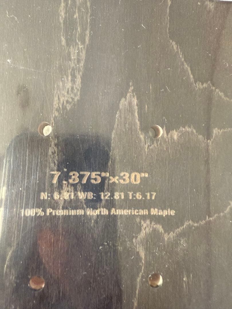 新品未使用エレメントデッキ　7.375 キッズジュニア　スケボー