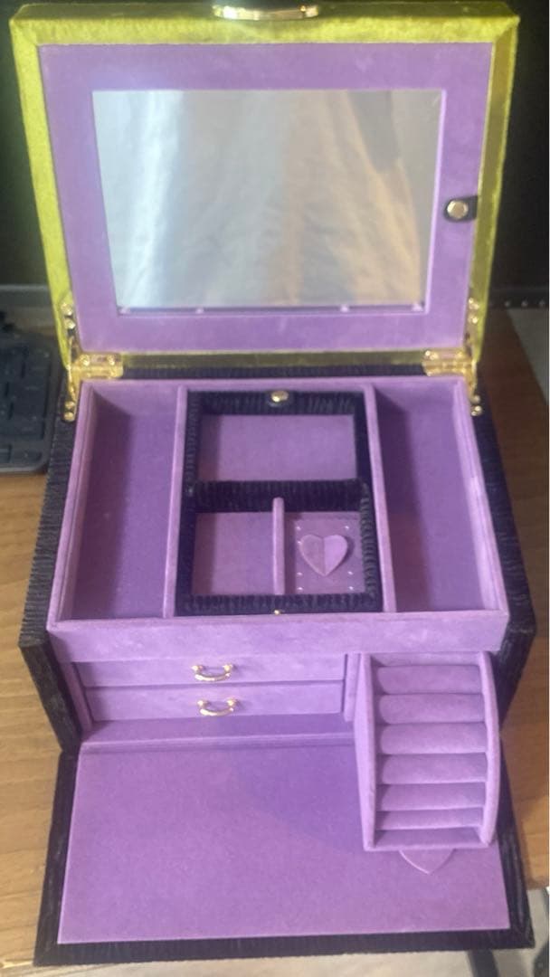 Francfranc ジュエリーボックス　マレフィセント　L