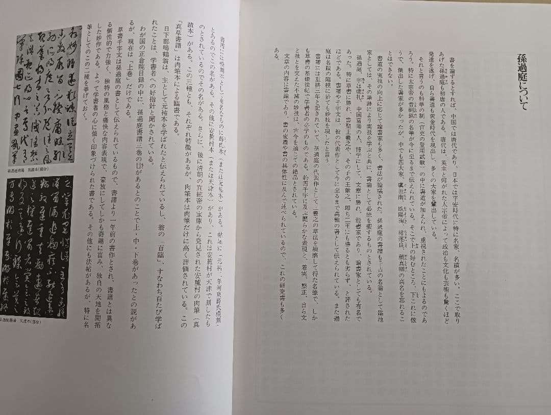 真草書譜　淺見喜舟