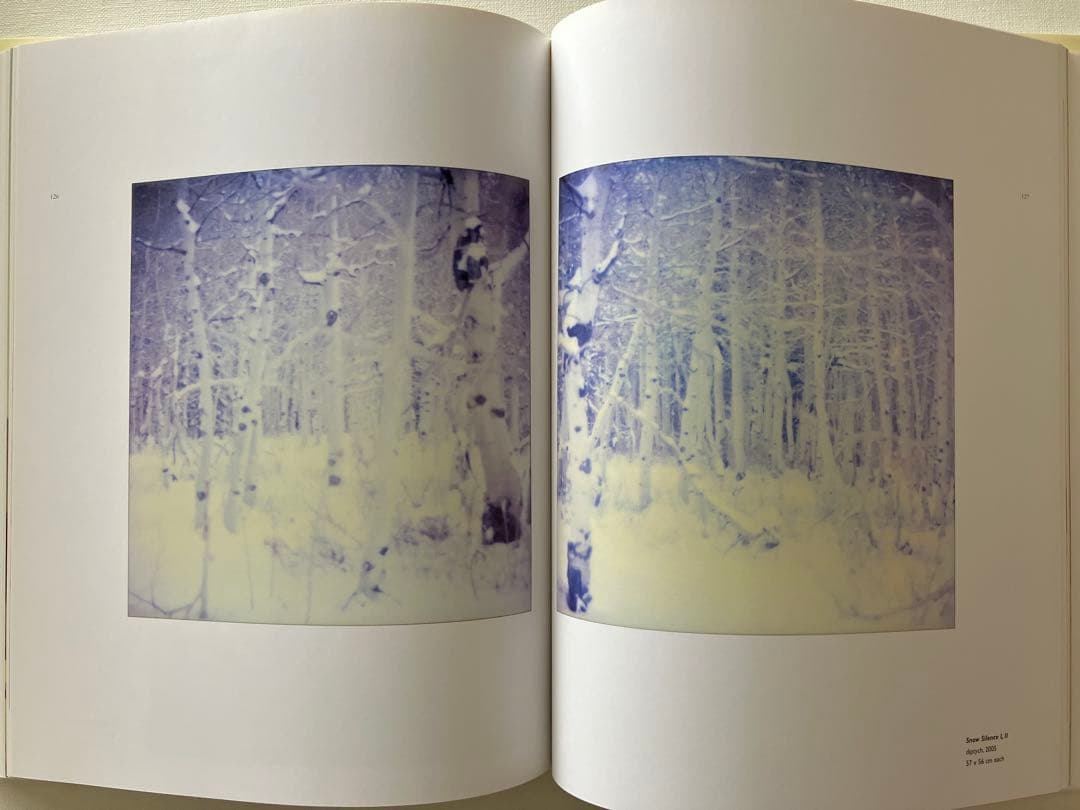 Stefanie Schneider 写真集　ポラロイド　フィルムカメラ　洋書