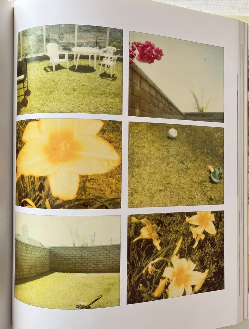 Stefanie Schneider 写真集　ポラロイド　フィルムカメラ　洋書