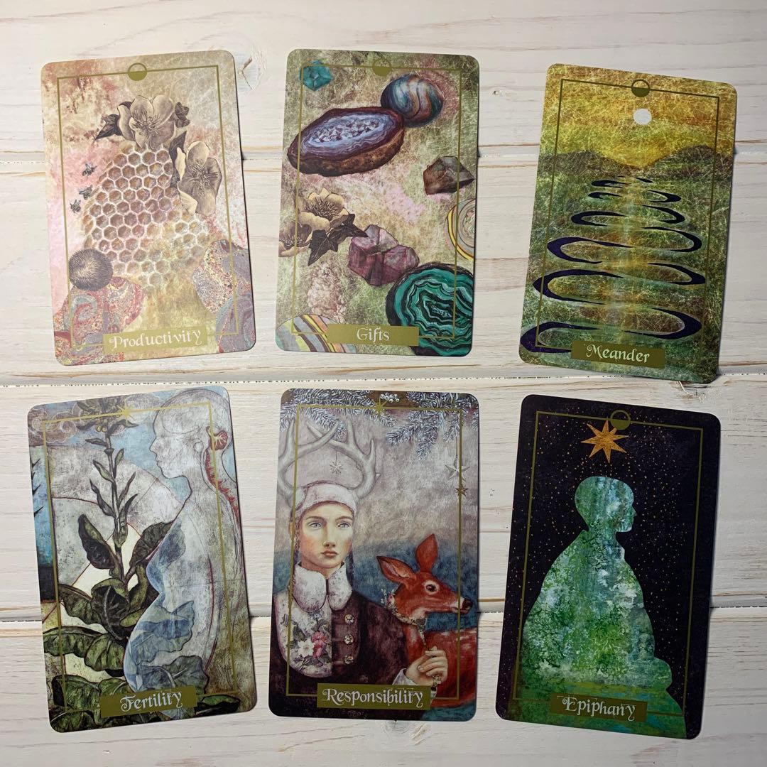 趣味・スポーツ・実用 The Illuminated Earth Oracle