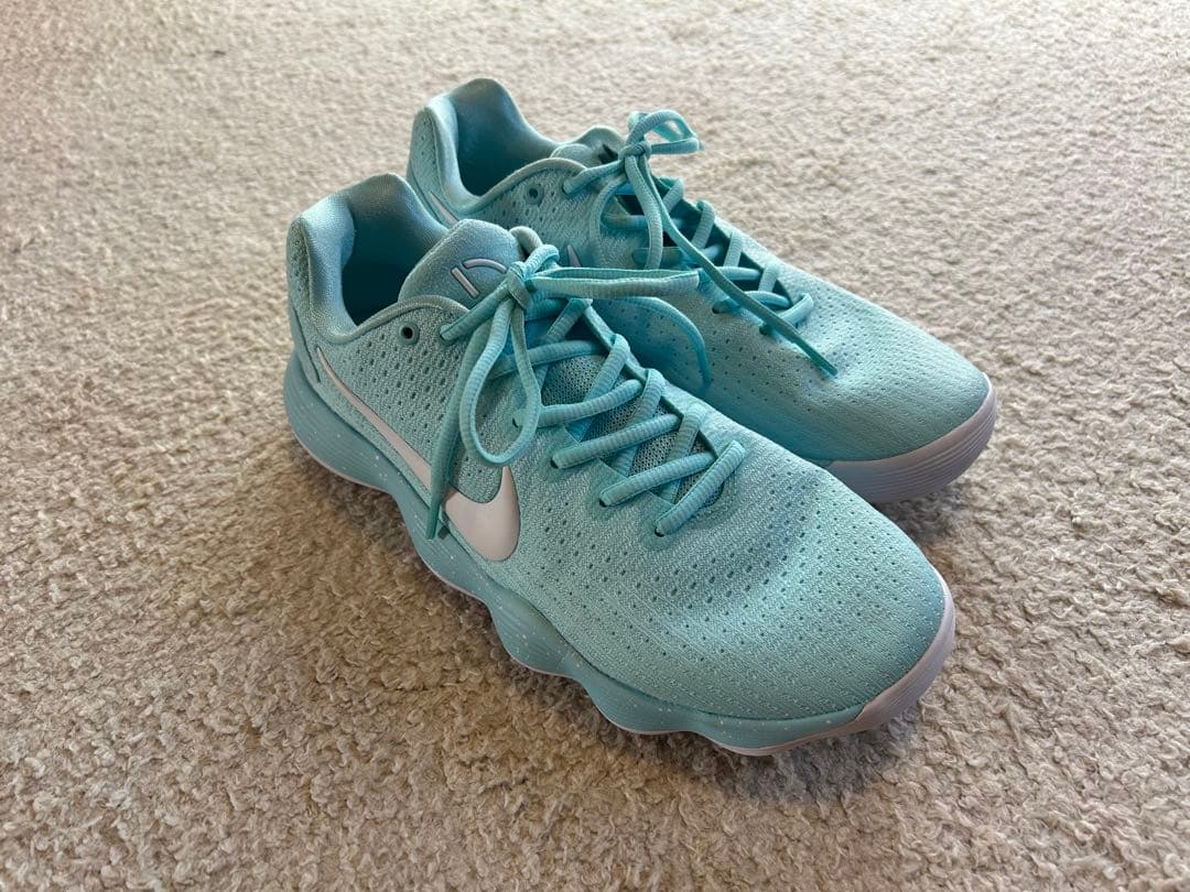 Nike Hyperdunk 2017 Low ハイパーダンク