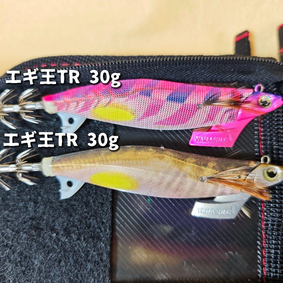 エギ12個+ケースまとめ売り 3〜3.5号 エメラルダス エギ王 DAIWA