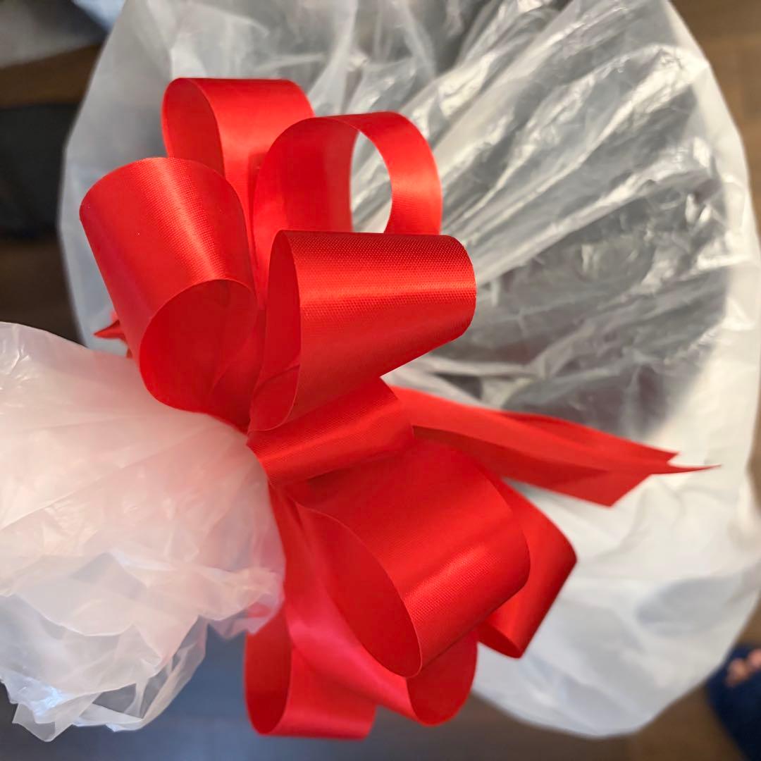 新品‼️未使用‼️ダンロップX xxio超軽量キャディーバック　ホワイト