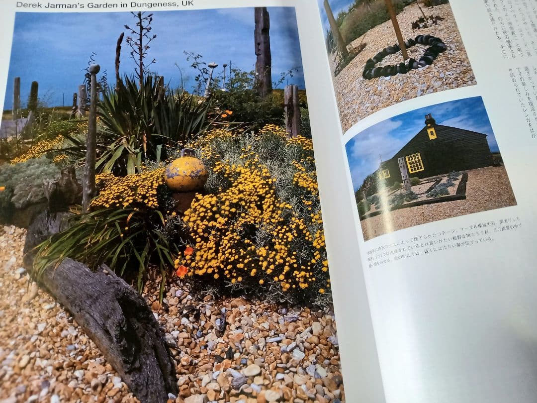 Luca　エクスファイア日本版7月号臨時増刊　雑誌