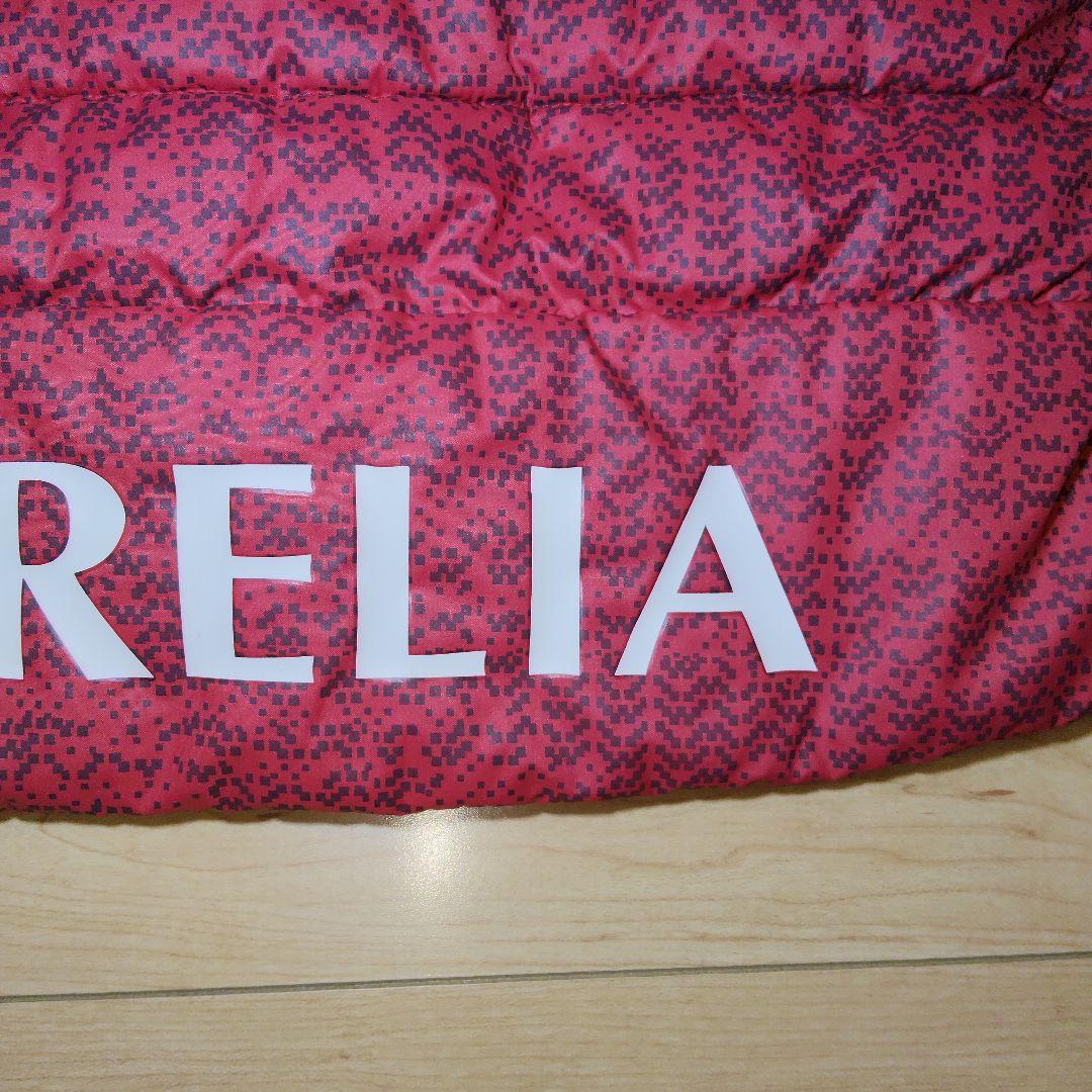 龍術師ドラゴン真田です。　　M（L相当）サイズ【MIZUNO】ミズノ モレ