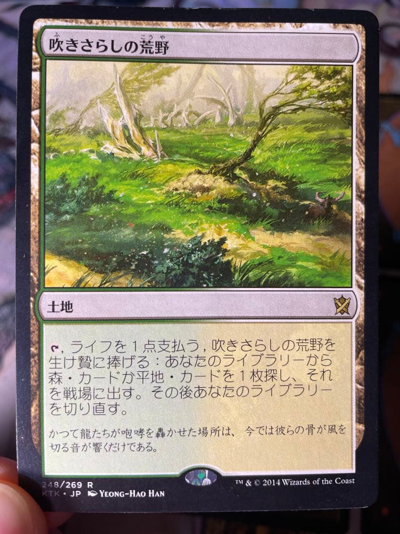 MTG フェッチランド　4枚セット
