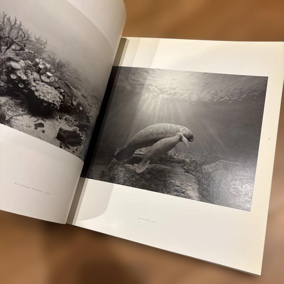 図録 HIROSHI SUGIMOTO 杉本博司 「時間の終わり」展 森美術館
