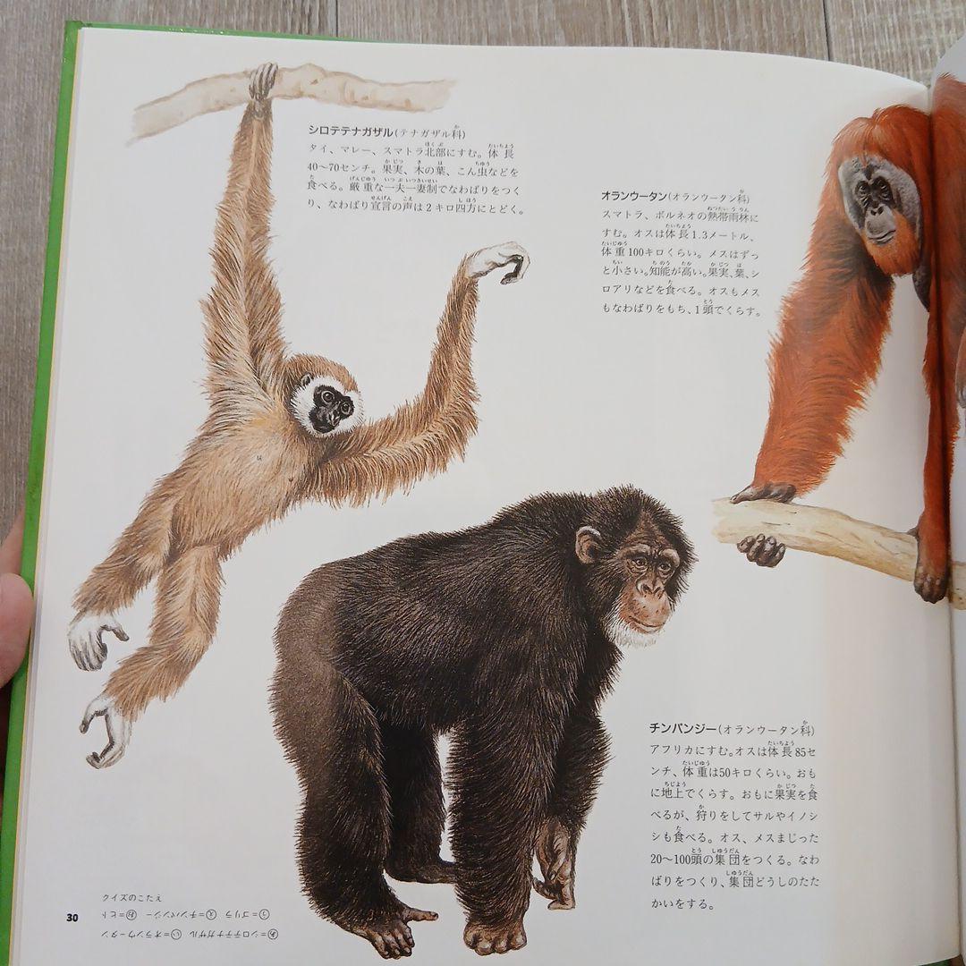 ⭐美品⭐小2～くもん推薦図書など　絵本児童書まとめ売り30冊