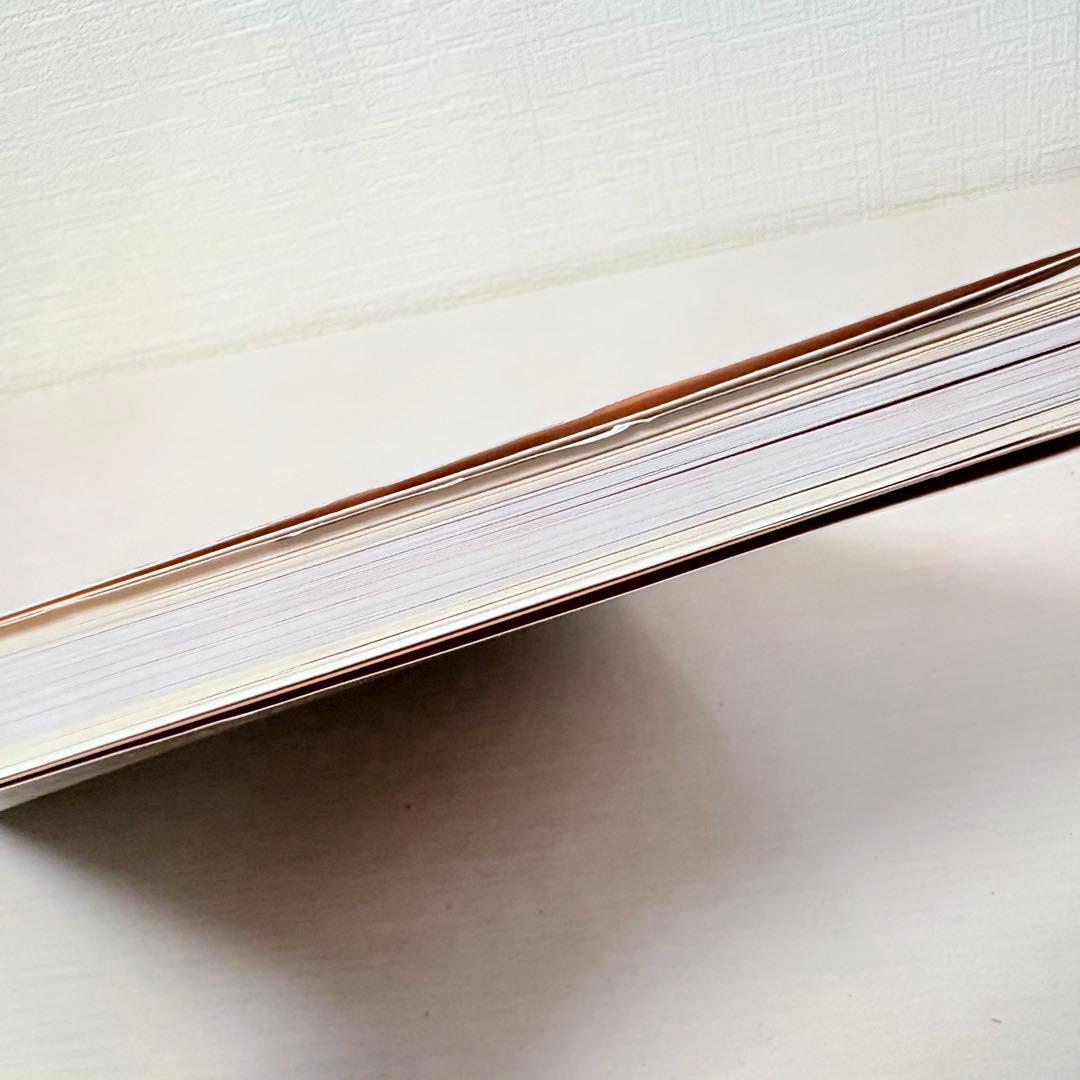 【タイムセール】【図録】シダネルとマルタン展