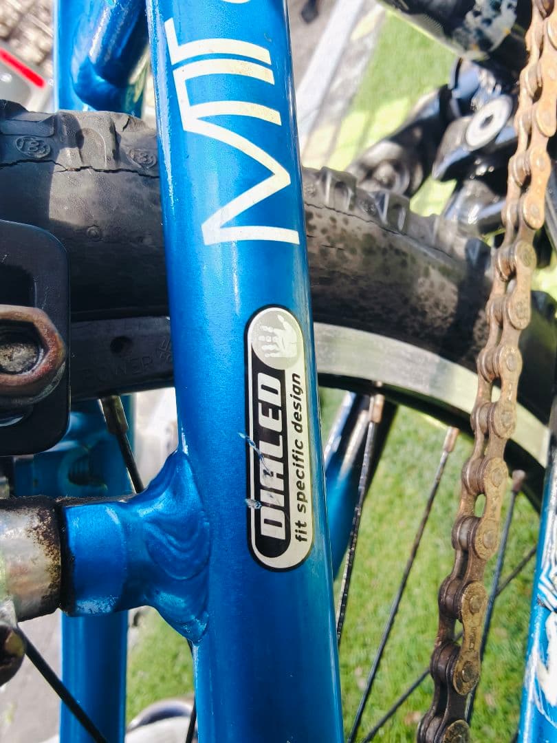 Trek ジュニアバイク 20インチ 青