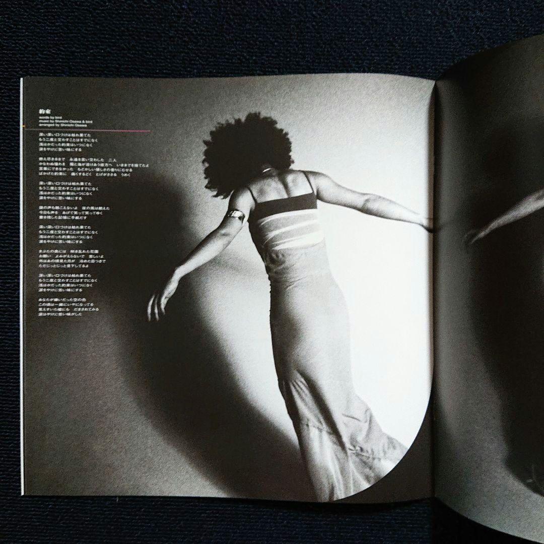 Bird – Bird・3 x レコード ボックスセット「5000枚限定盤」