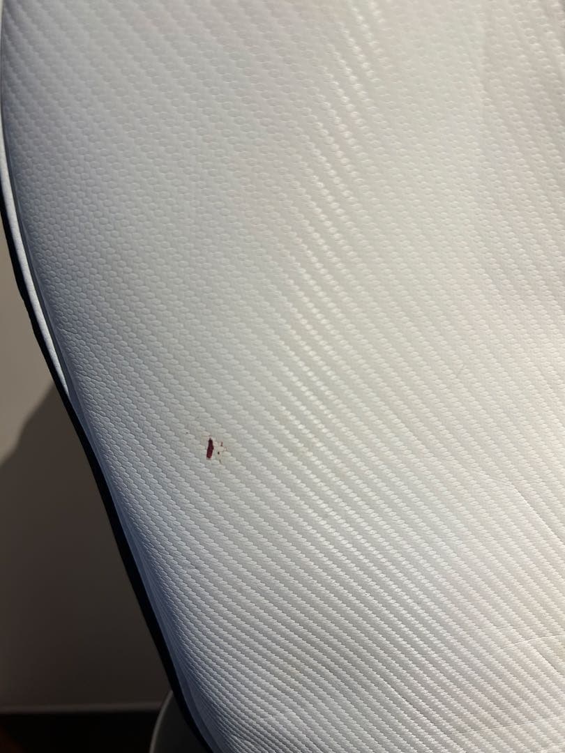 中古品　ブリヂストン BG-100 ゴルフキャディバッグ