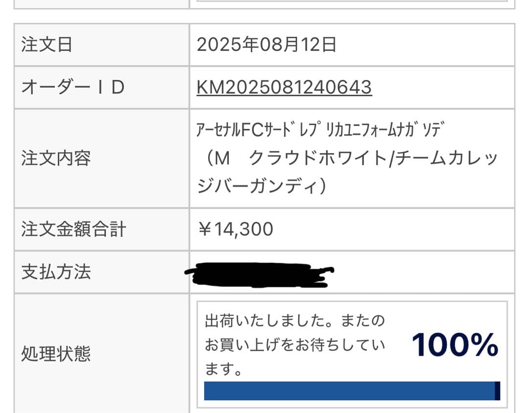 アーセナル 25/26 ユニフォーム サード 長袖 レプリカ