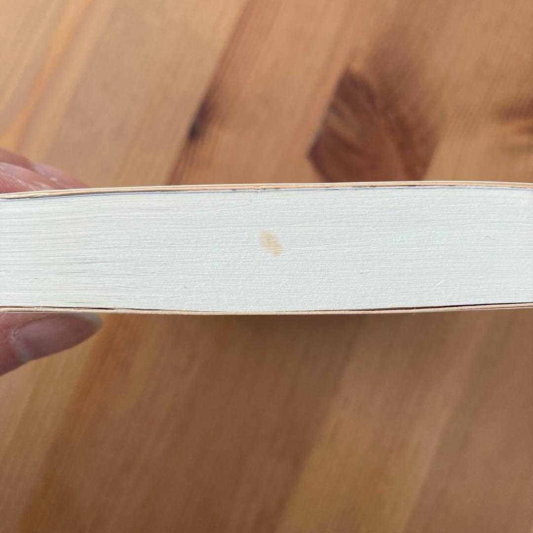 遊戯王　文庫版　全22巻セット　高橋 和希