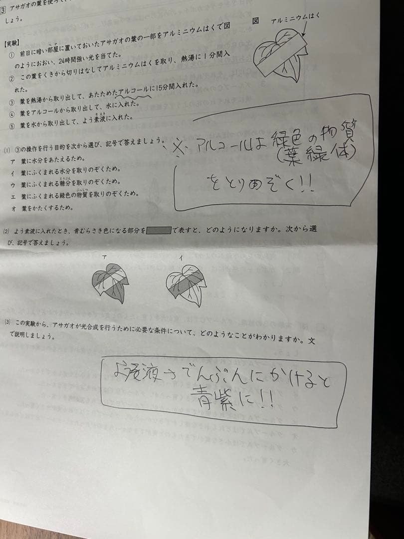 日能研5年生用テスト　5回分