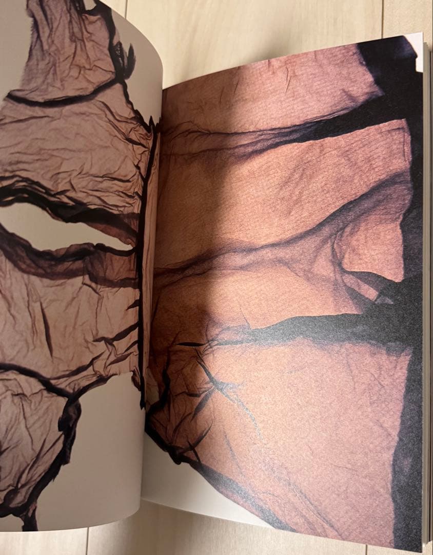 【極美品！サイン署名】石内都　見える見えない、写真のゆくえ　カーロ