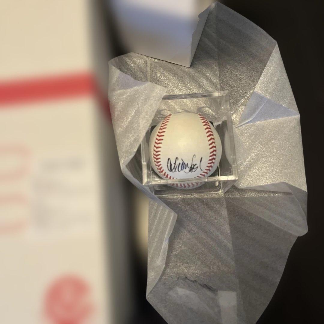 イチロー 2004 シーズン262安打 記念 サインボール(印刷) ,パーカー