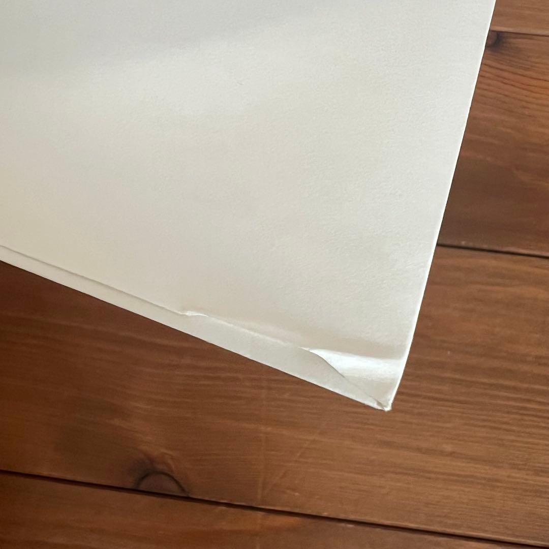 ゆらゆら帝国 空洞です Hollow Me 2LP レコード