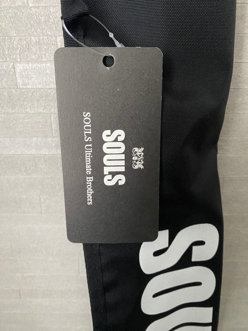 SOULS F-D110MH-TZ ジギングロッド 11'0\"