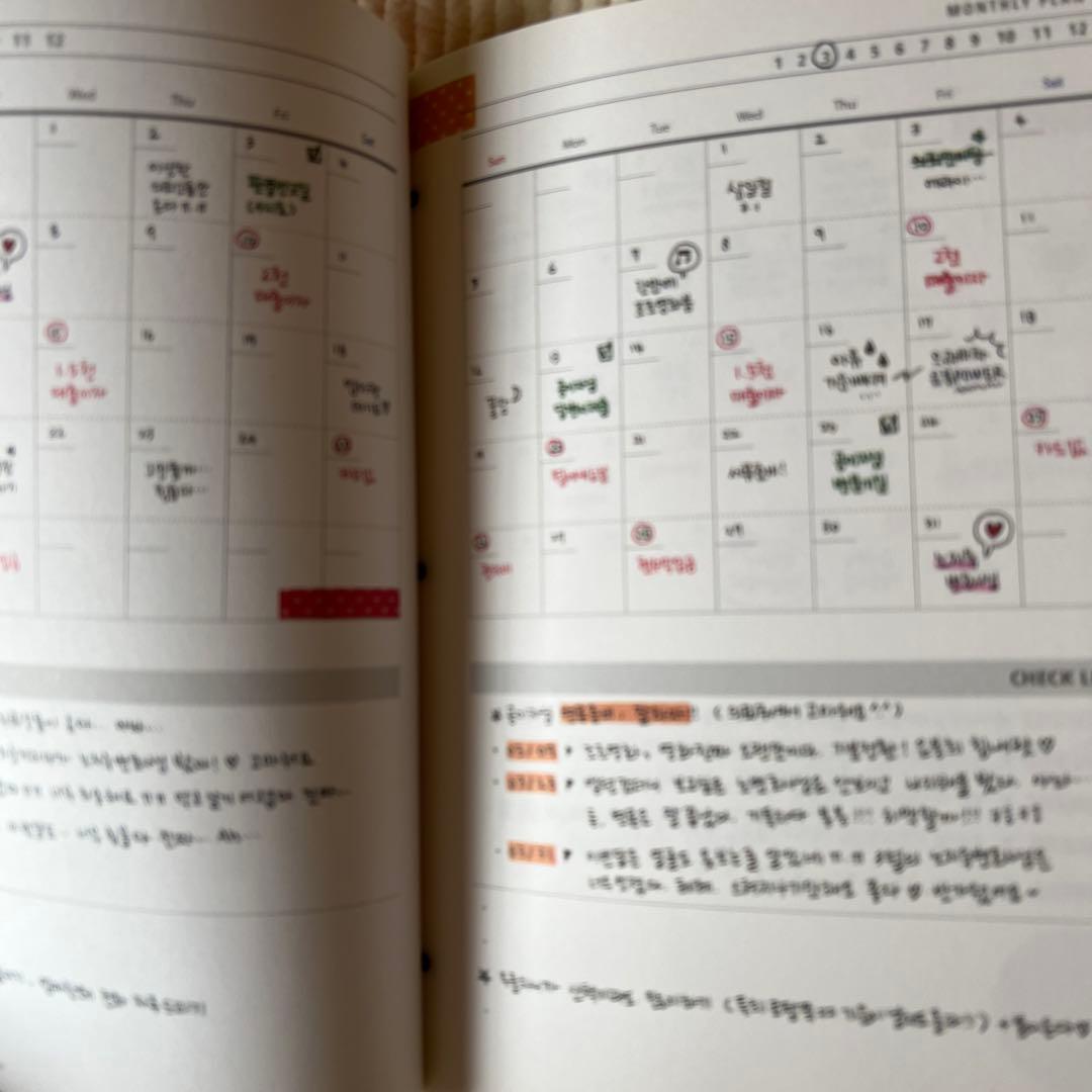 チ・チャンウク 韓国版 あやしいパートナーDVD 監督版 限定