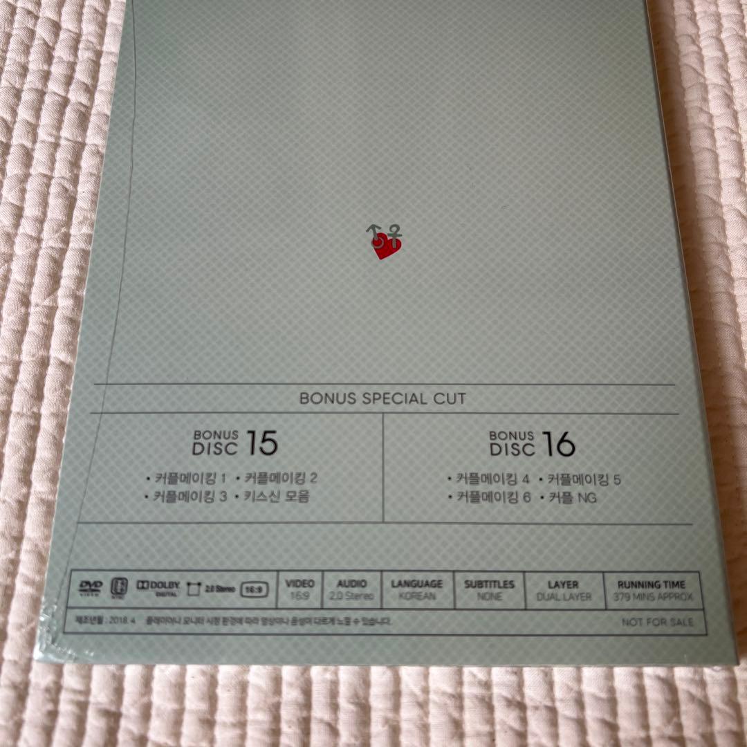 チ・チャンウク 韓国版 あやしいパートナーDVD 監督版 限定