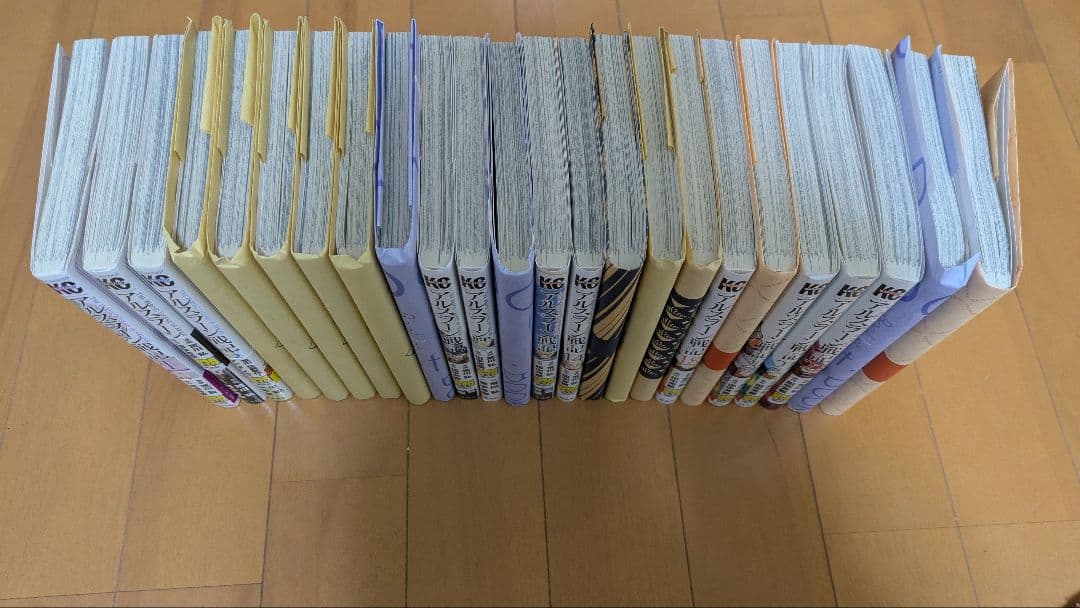 アルスラーン戦記 24巻セット