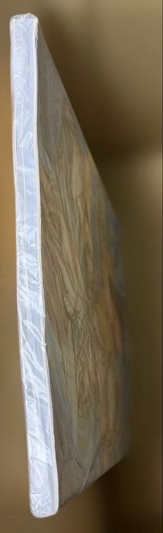 ふしぎ遊戯 全10巻➕玄武開伝 全12巻➕白虎仙記 全5巻他　渡瀬悠宇作品