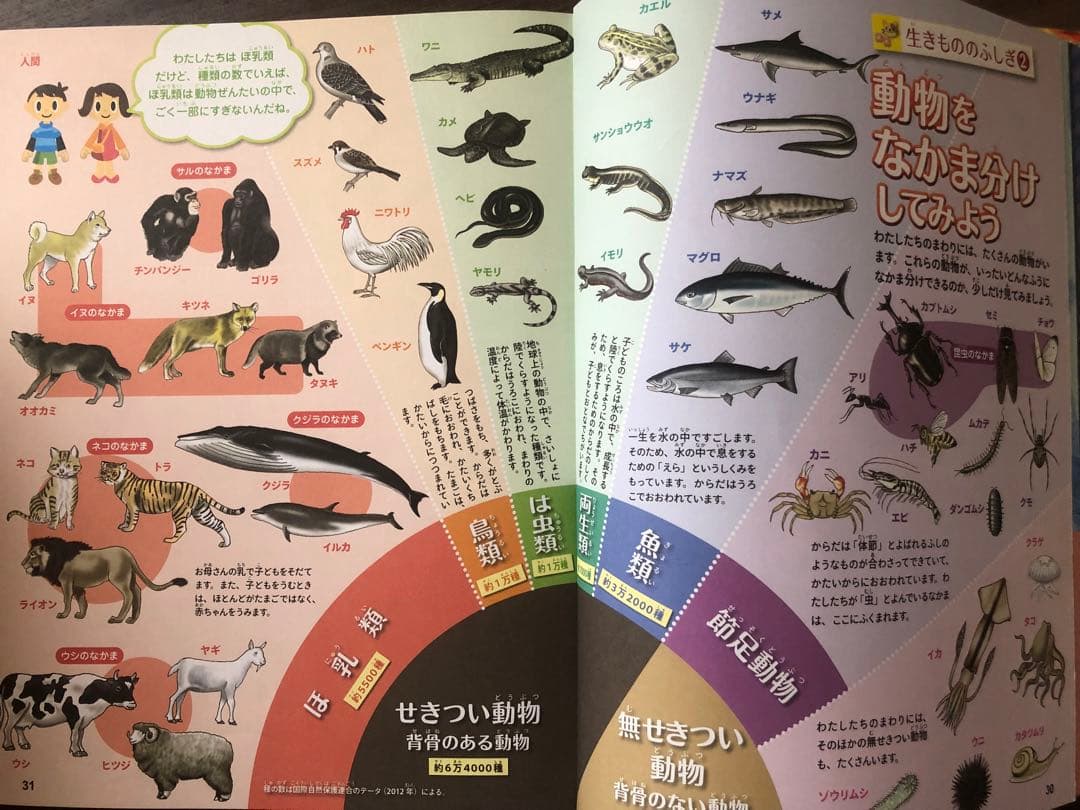 考える力を 366 頭のいい子を 365 人体のふしぎな 英語好きな子に セット