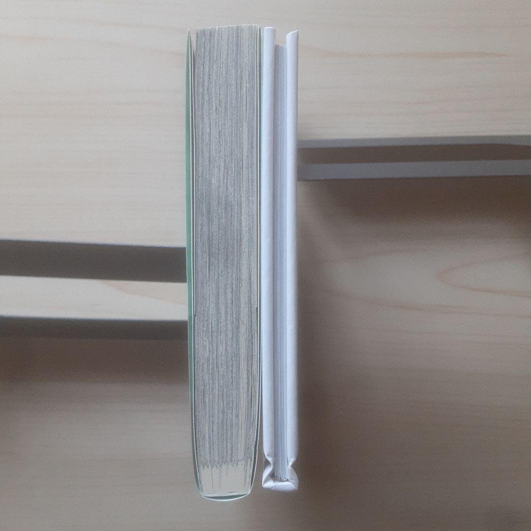 【初版】ヴァンパイア騎士19巻 限定版