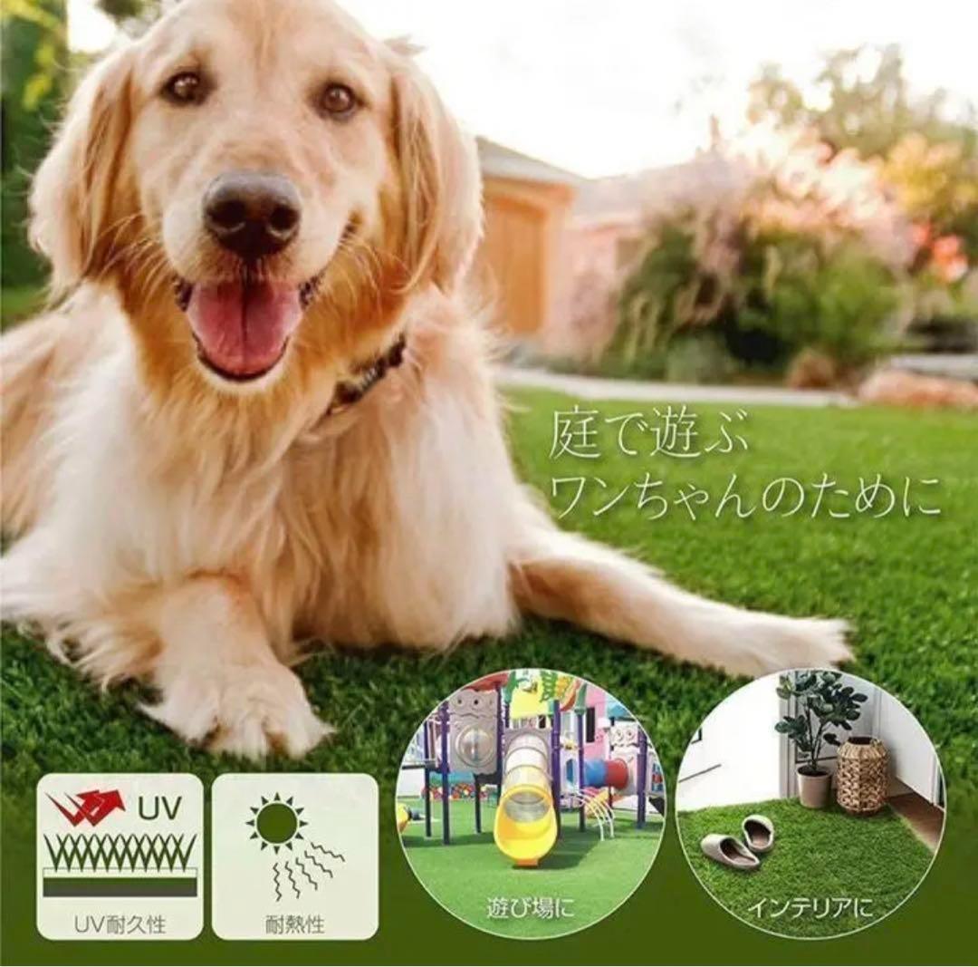 Alinesuzuki様　人工芝 ロール 庭 芝丈35mm 芝生 密度2倍