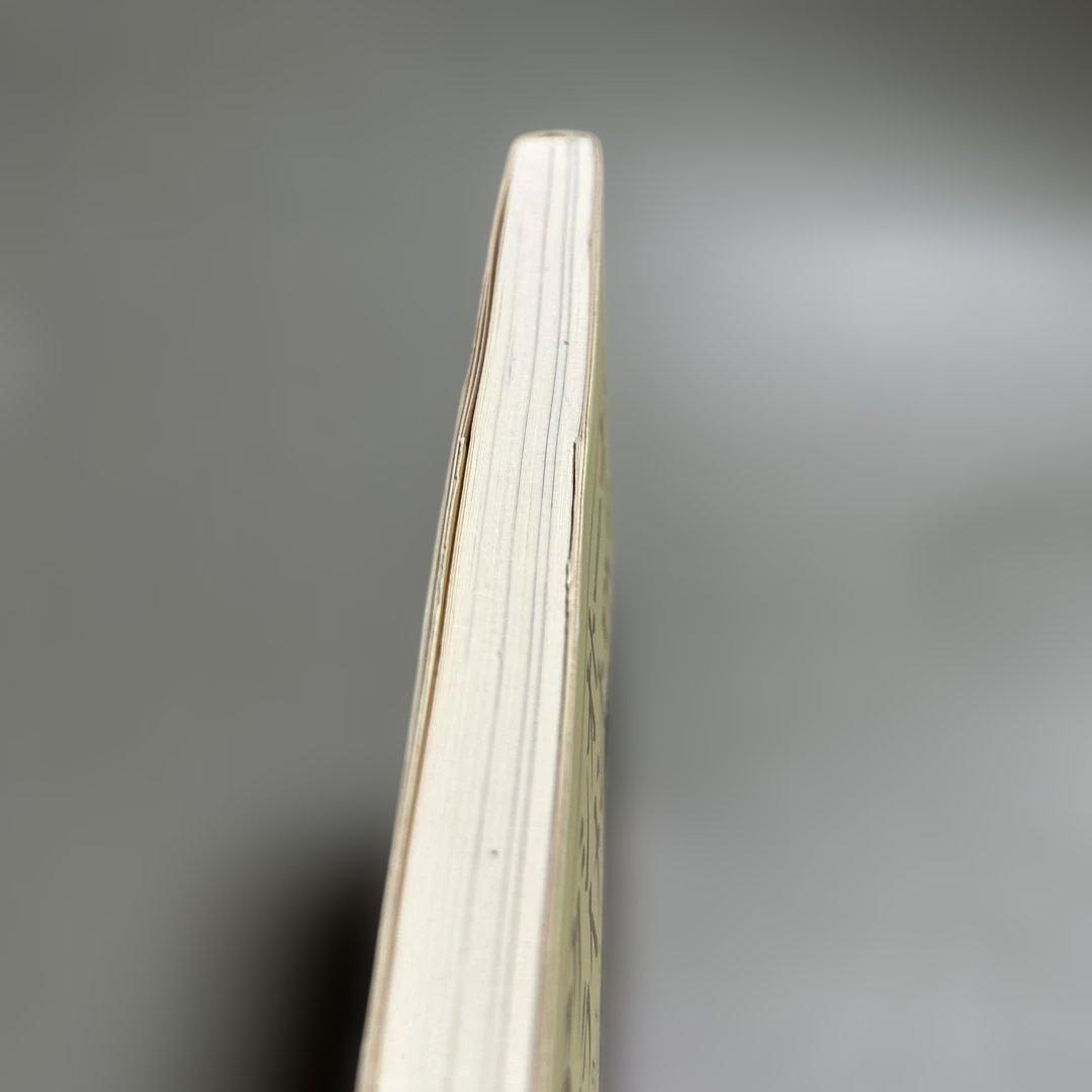 絶版:アクシオトーナル・アライメント DVDブック