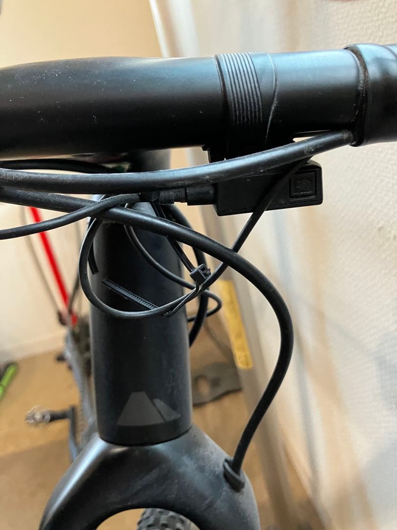 CANYON INFLITEシクロクロスバイク カーボンフレーム サイズ　XS