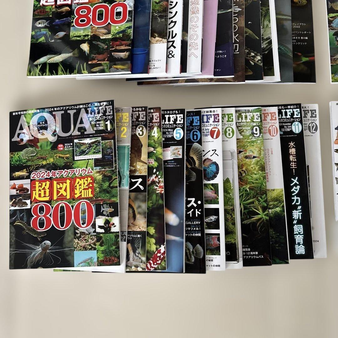 アクアライフ　2022 2023 2024 2025