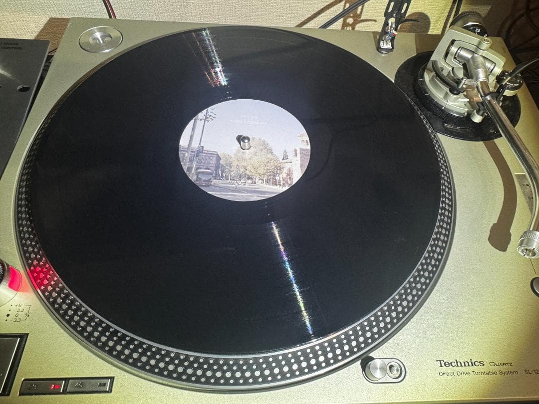 【180g重量盤レコードLP、アートワークスリーブ付】小瀬村晶 /ONE DAY