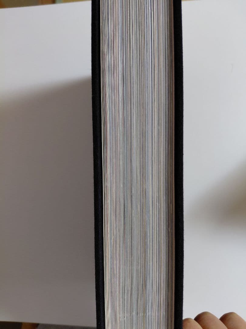 レア!希少!ヒロミックス Hiromix 写真集 ヒロミックス